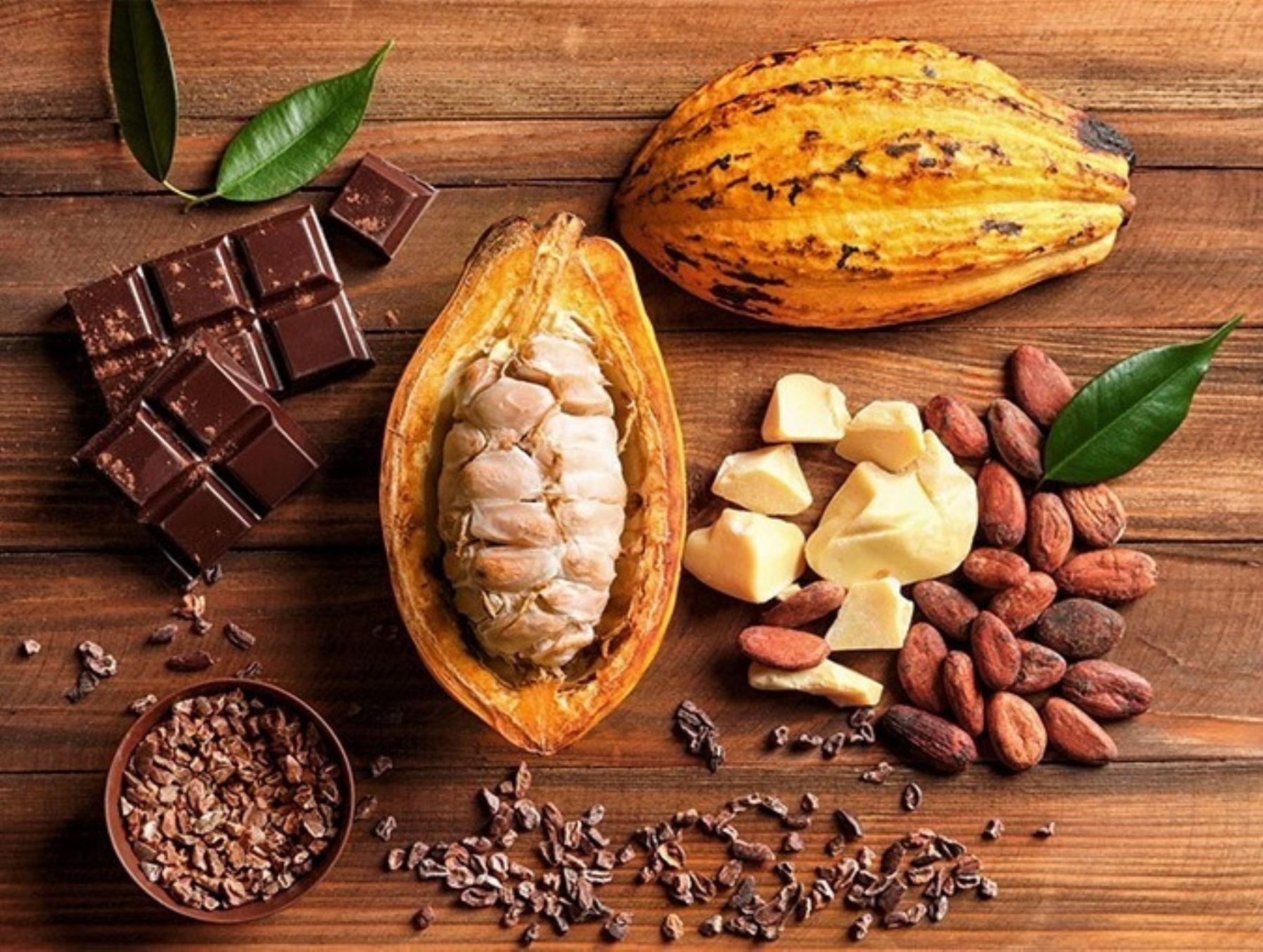 Chiapas celebrará 7º festival del cacao y chocolate en san cristóbal de las casas la revista del sureste mx Un Legado De Sabor 13° Festival Del Chocolate Rompe Record Historico
