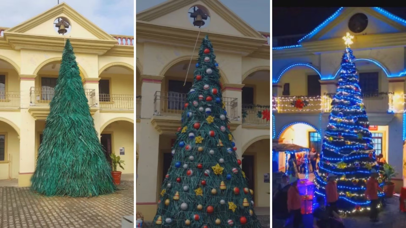 "árbol de navidad hecho de palma en veracruz: de las burlas al éxito viral" la revista del sureste mx Arbol De Navidad Hecho De Palma En Veracruz De Las Burlas Al Exito Viral