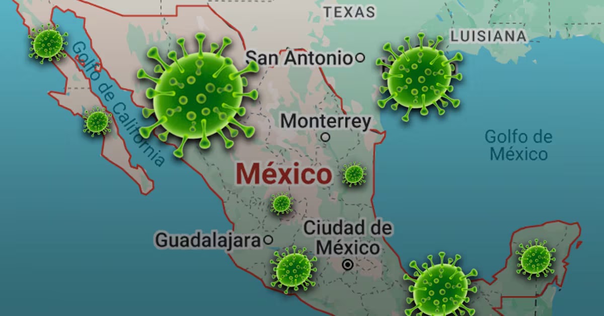 Hmpv En Mexico Estados Afectados Sintomas Y Todo Lo Que Necesitas Saber