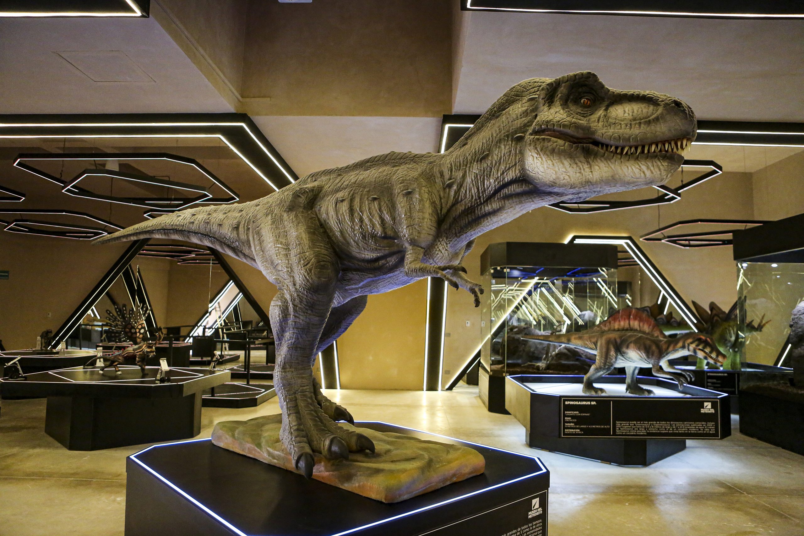 Museo Del Meteorito La Puerta Al Pasado Prehistorico En El Corazon De Yucatan