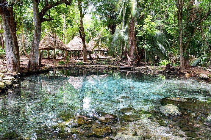 Conoce los fantásticos cenotes miguel colorado en campeche la revista del sureste mx Campeche
