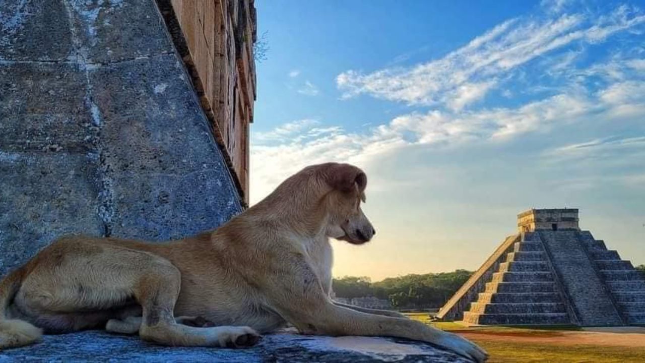 Lomito sube al Castillo de Chichén Itzá y se une a los 'Guardianes'