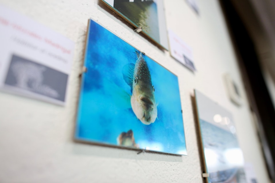 Yucatan La Promesa Del Pasado 1