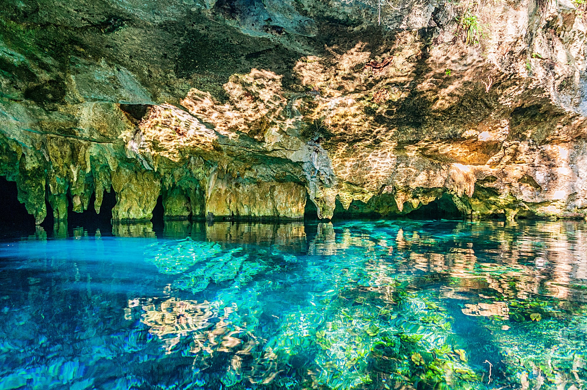 Cenote 2