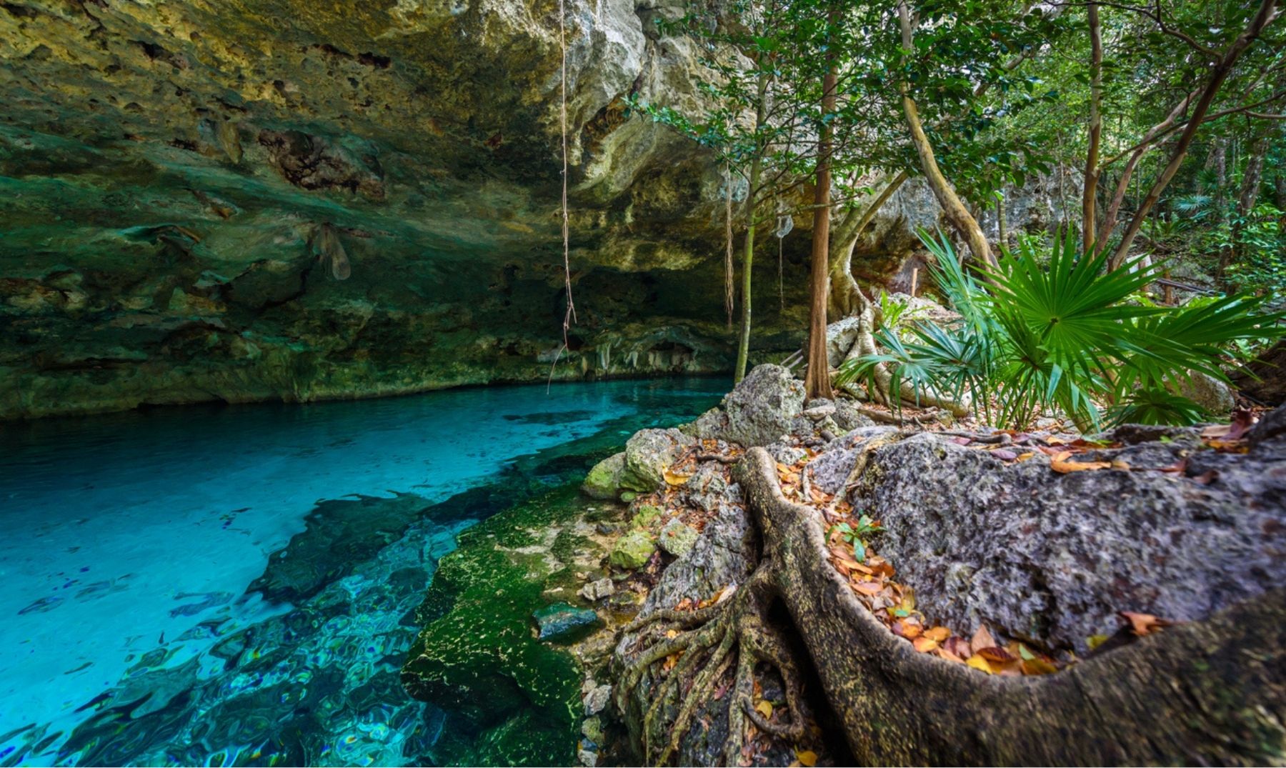 Cenote 3