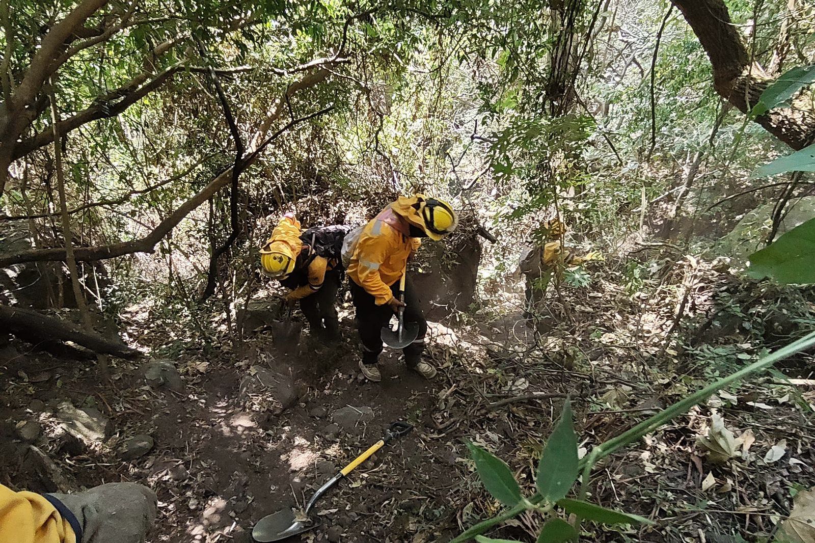 Envía cdmx 43 brigadistas para combatir incendio en parque nacional el tepozteco la revista del sureste mx Incendio 3