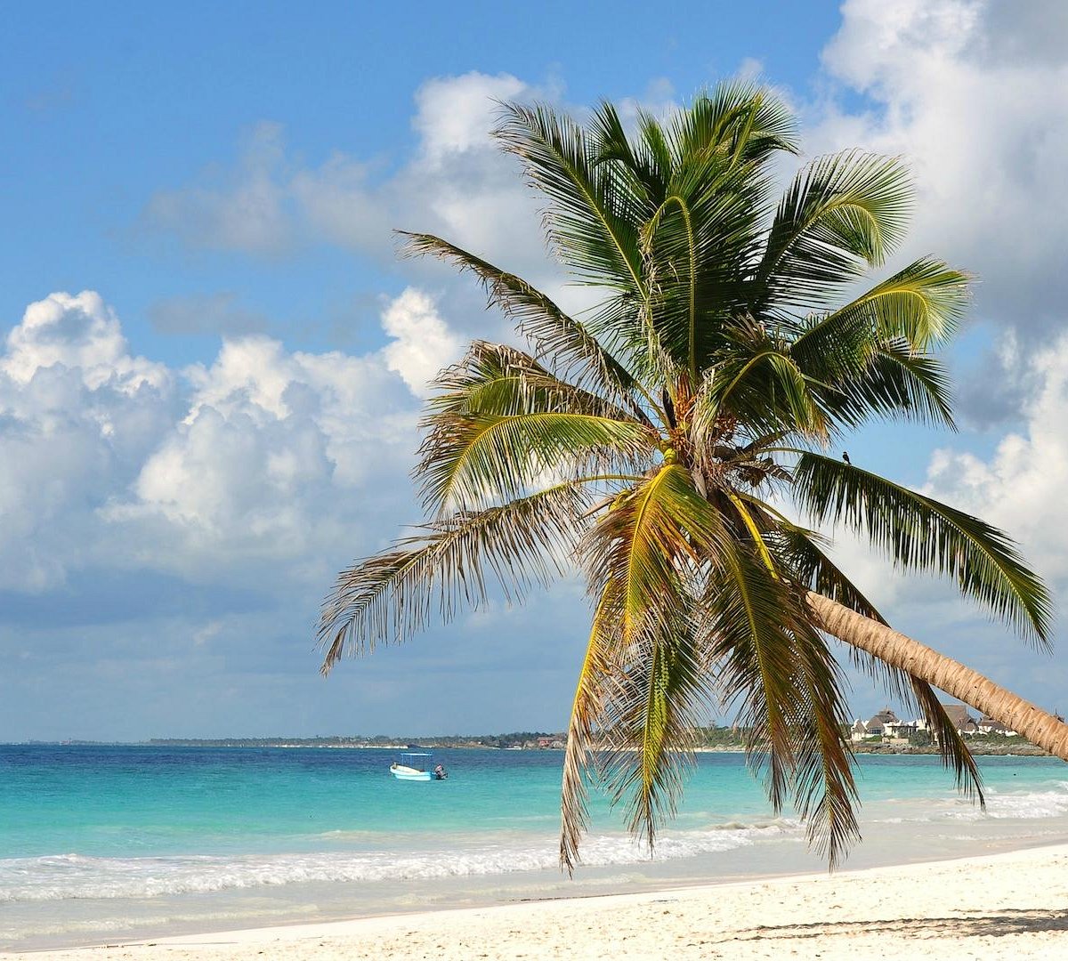 Descubre los destinos secretos para disfrutar en Semana Santa 2025 con tu familia El sureste de México alberga algunas de las playas más espectaculares del país, pero más allá de los destinos turísticos populares, existen rincones paradisíacos que permanecen casi intactos. https://larevistadelsureste.com