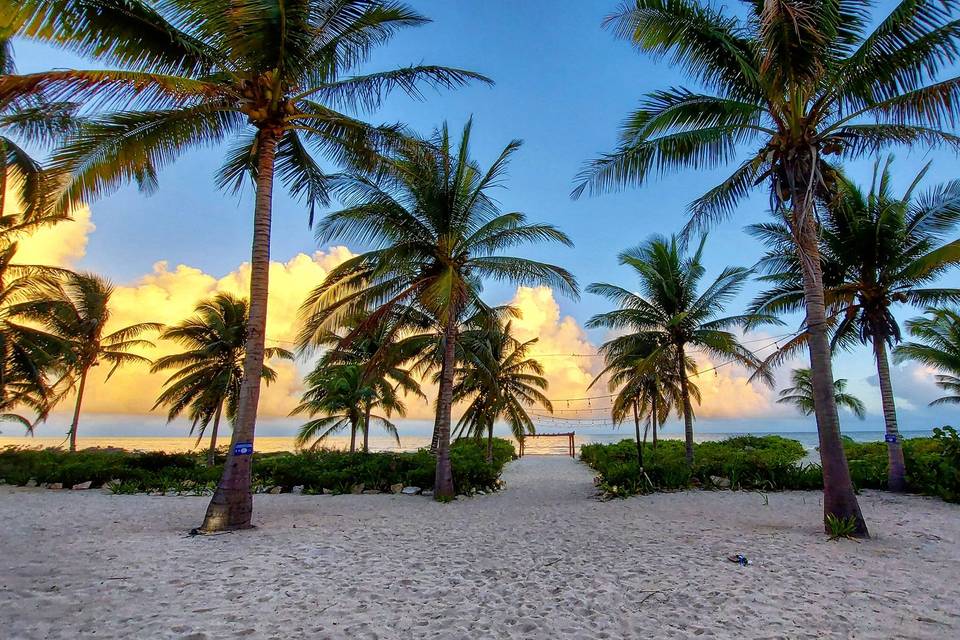 Descubre los destinos secretos para disfrutar en Semana Santa 2025 con tu familia El sureste de México alberga algunas de las playas más espectaculares del país, pero más allá de los destinos turísticos populares, existen rincones paradisíacos que permanecen casi intactos. https://larevistadelsureste.com