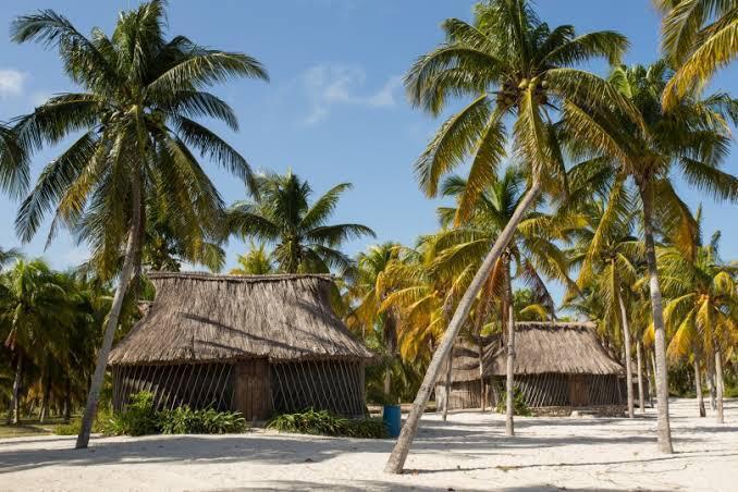 Logra gobierno de yucatán resultados favorables en el itb berlín 2025 la revista del sureste mx Yuca 4