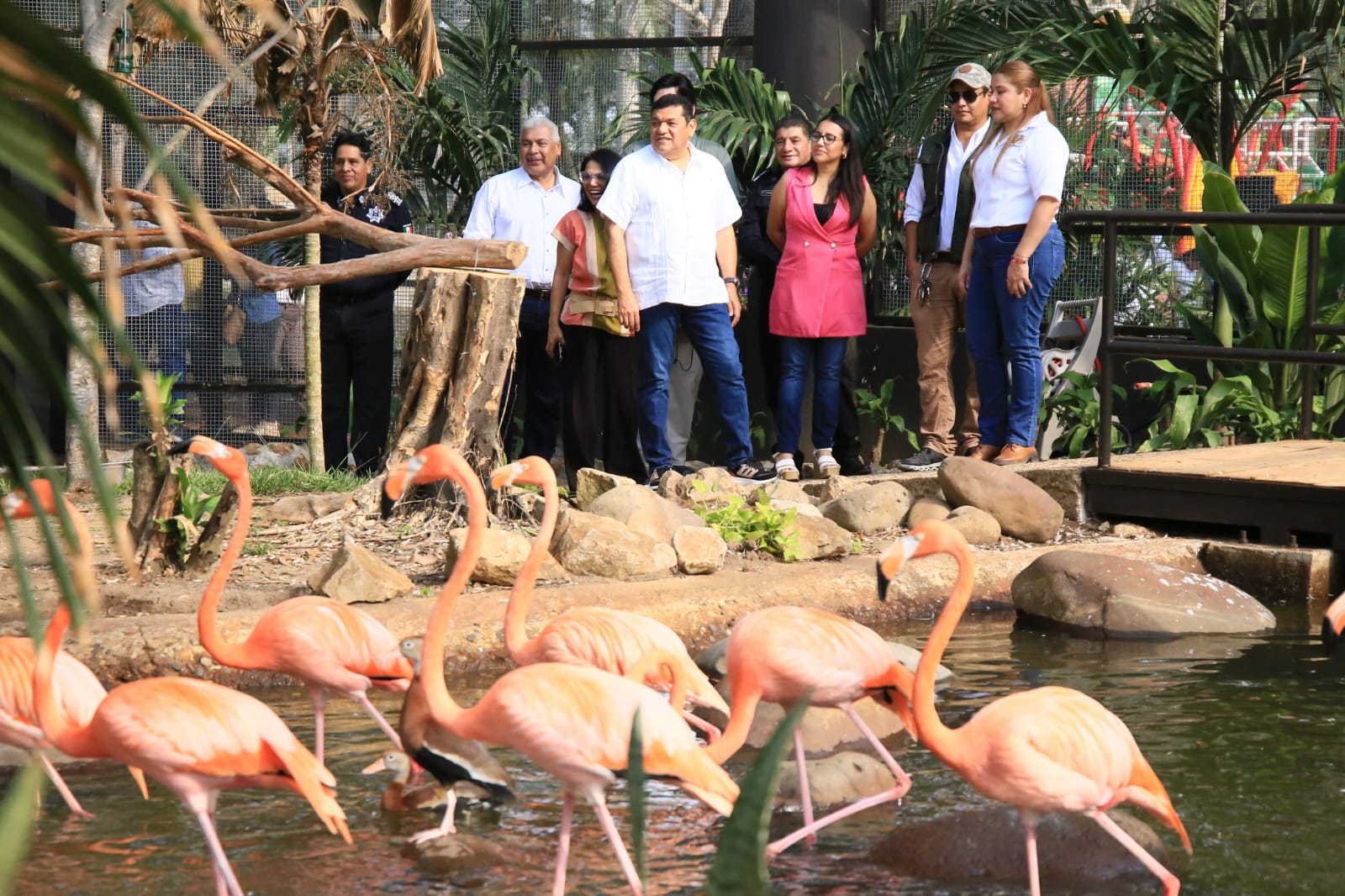 Javier may impulsa conservación del yumká con nuevo aviario y saneamiento de laguna la revista del sureste mx Javier 1