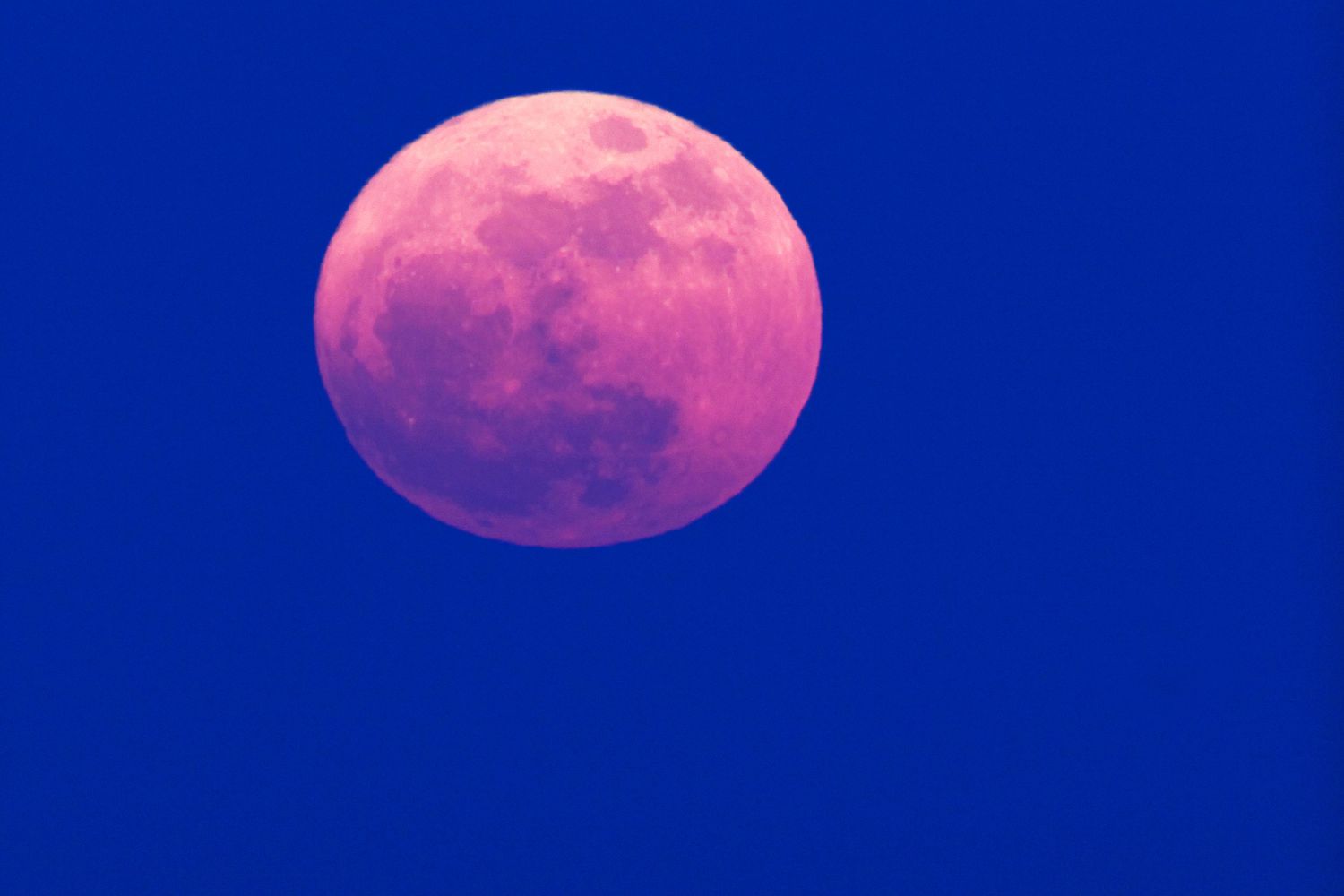 Lunarosa