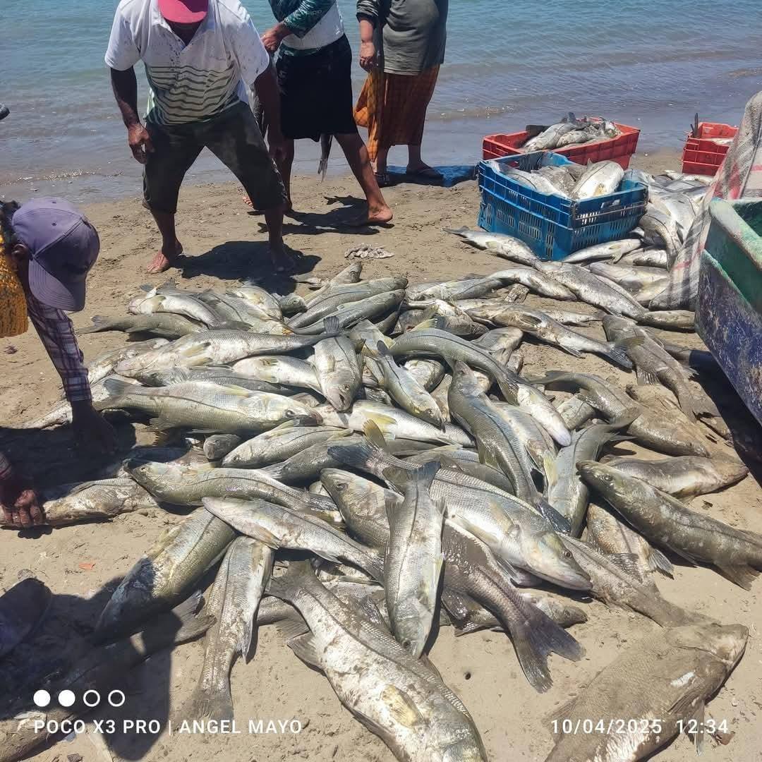 Pescadores 2