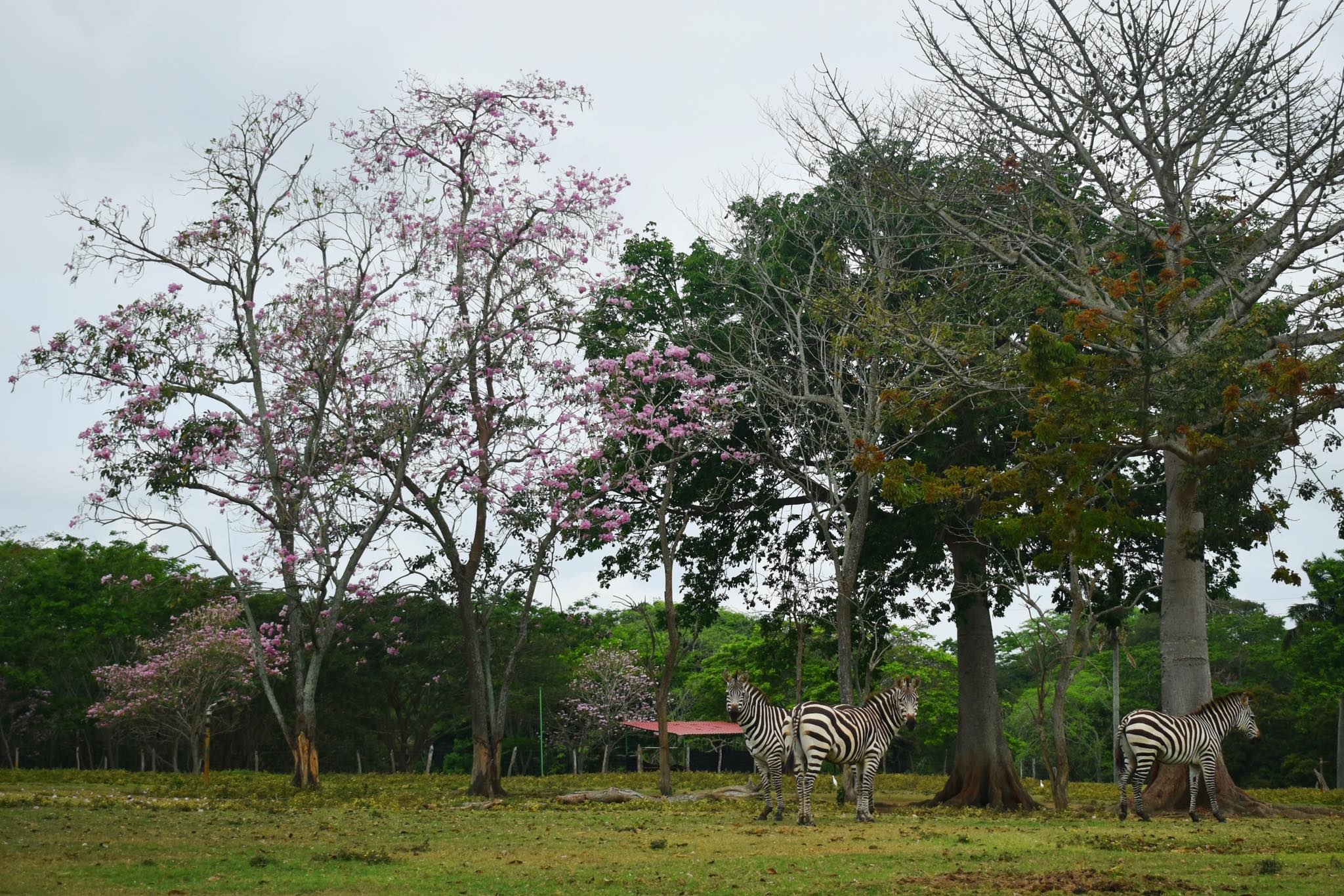 Explora Yumka: Un paraíso natural en Tabasco