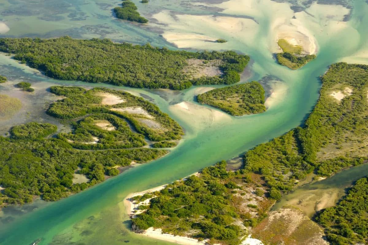 Día de la Diversidad Biológica: descubre los tesoros naturales de México