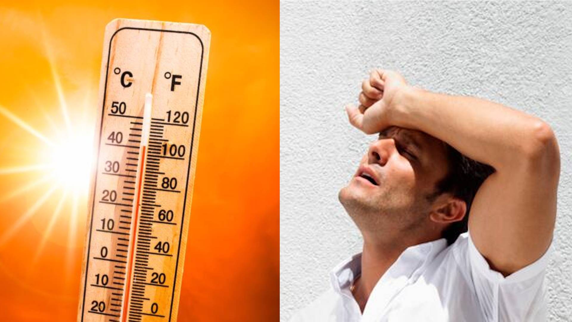 Calor