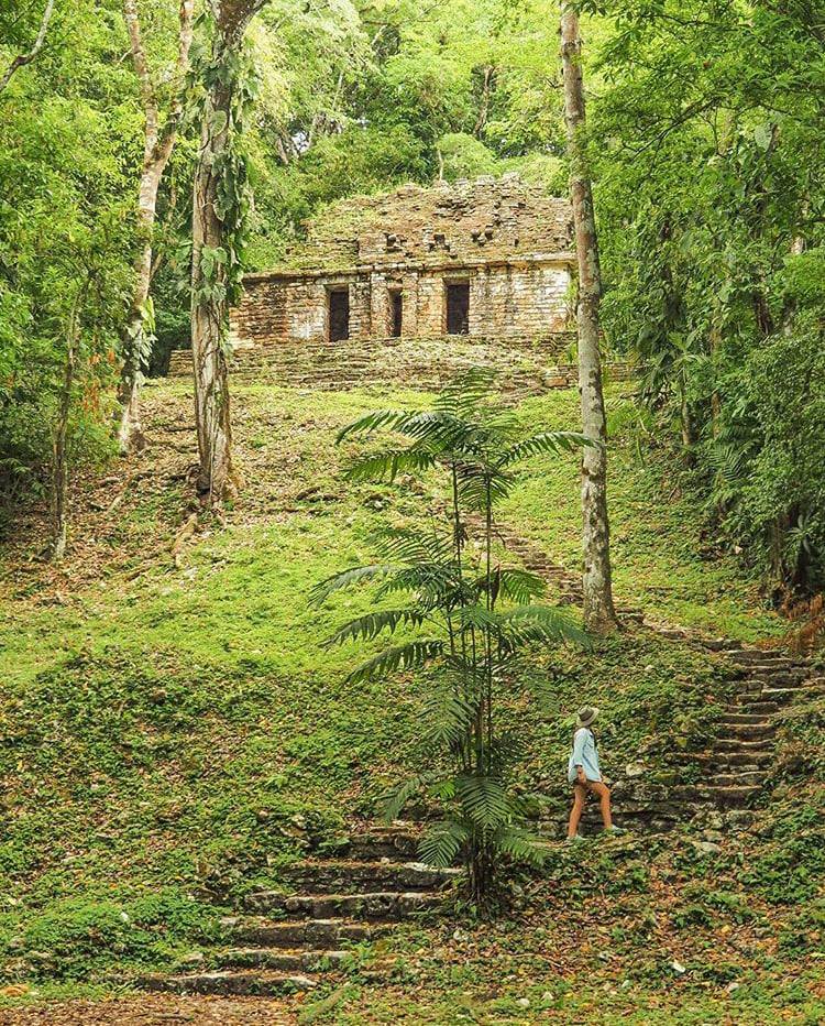 Explora yaxchilán, la joya arqueológica escondida en la selva lacandona de chiapas la revista del sureste mx Chiapas 2