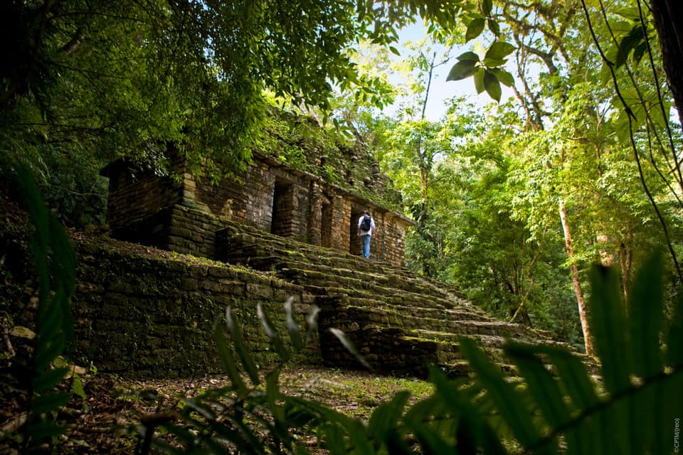 Explora Yaxchilán, la joya arqueológica escondida en la Selva Lacandona de Chiapas