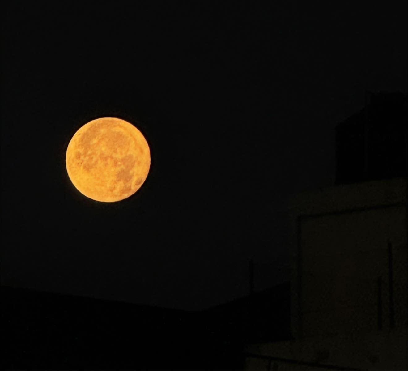 Luna 1