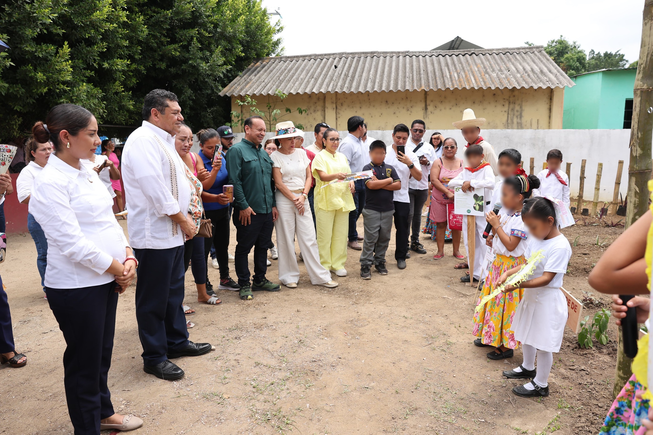 Anuncia may jornada estatal de reforestación con siembra de 10 millones de árboles frutales y maderables la revista del sureste mx Jmr 2