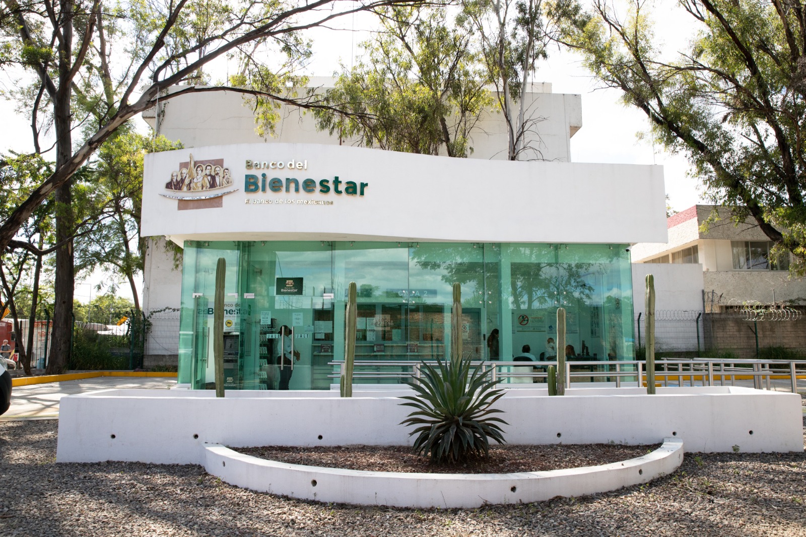 ¡histórico! Banco del bienestar alcanza la máxima calificación de moody’s en méxico la revista del sureste mx Banco 1