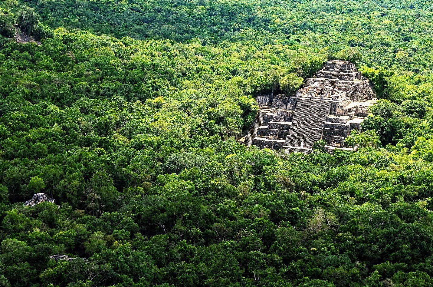 Qué es calakmul y por qué fue declarado patrimonio mundial mixto por la unesco la revista del sureste mx Calakmul 0