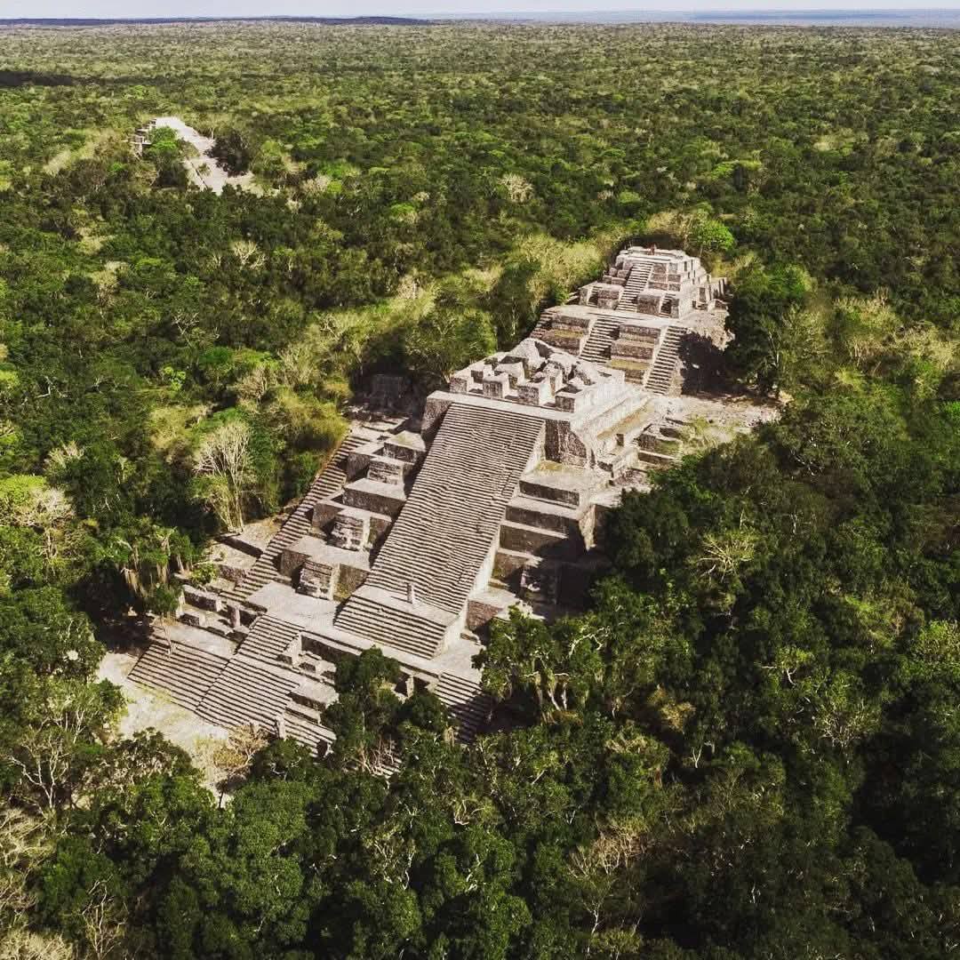 Calakmul 2