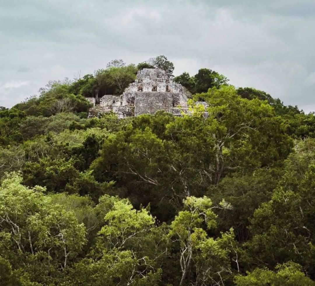 Calakmul 3