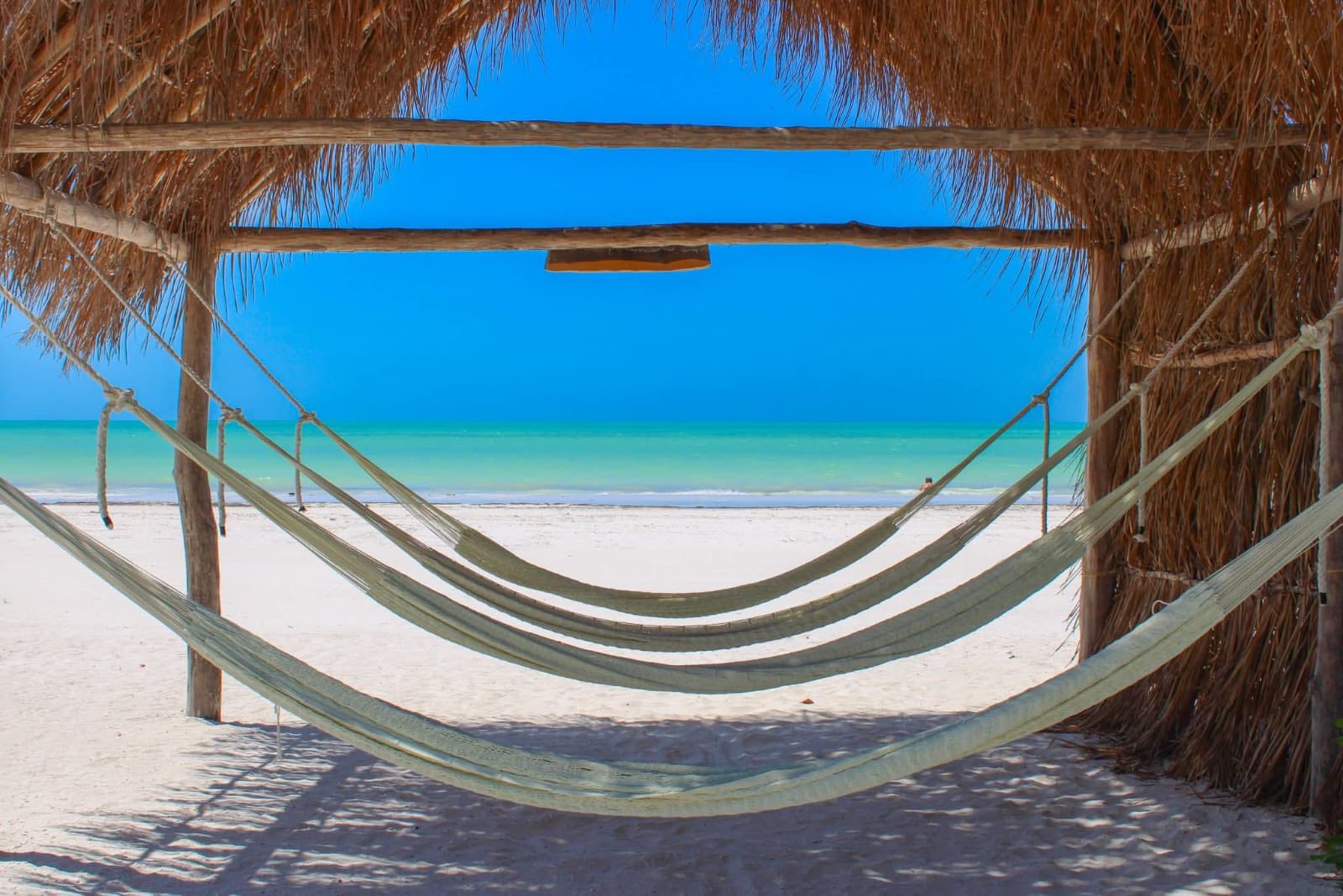 Holbox, qroo presume playas limpias y sin sargazo mientras otros destinos combaten la marea la revista del sureste mx Holbox 2