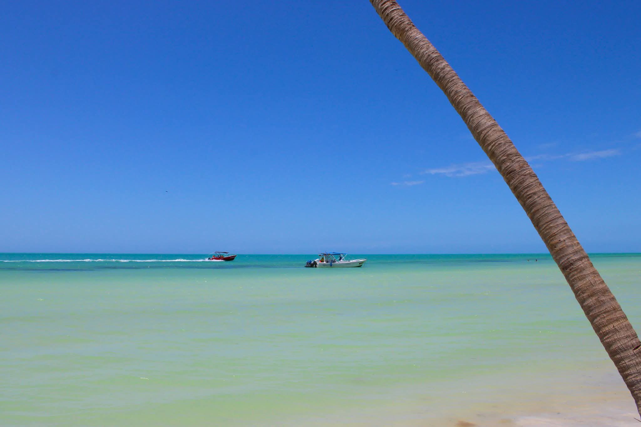 Holbox, qroo presume playas limpias y sin sargazo mientras otros destinos combaten la marea la revista del sureste mx Holbox 3