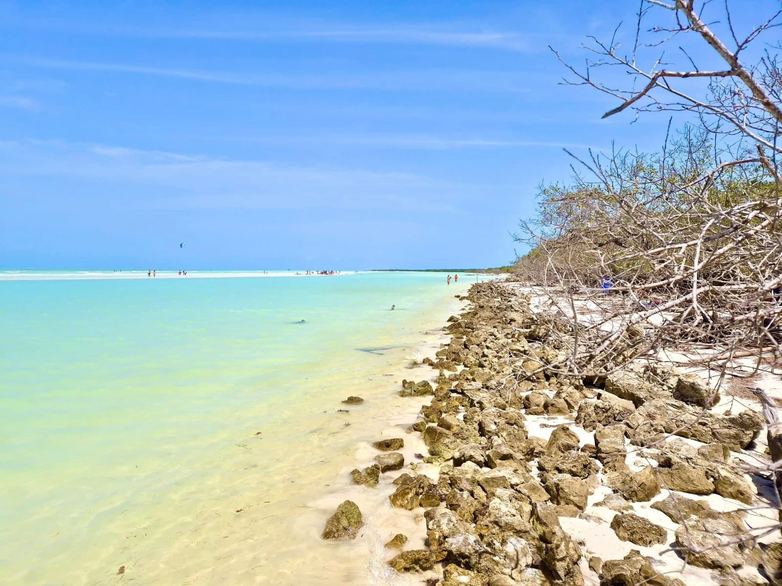 Holbox, qroo presume playas limpias y sin sargazo mientras otros destinos combaten la marea la revista del sureste mx Holbox 4