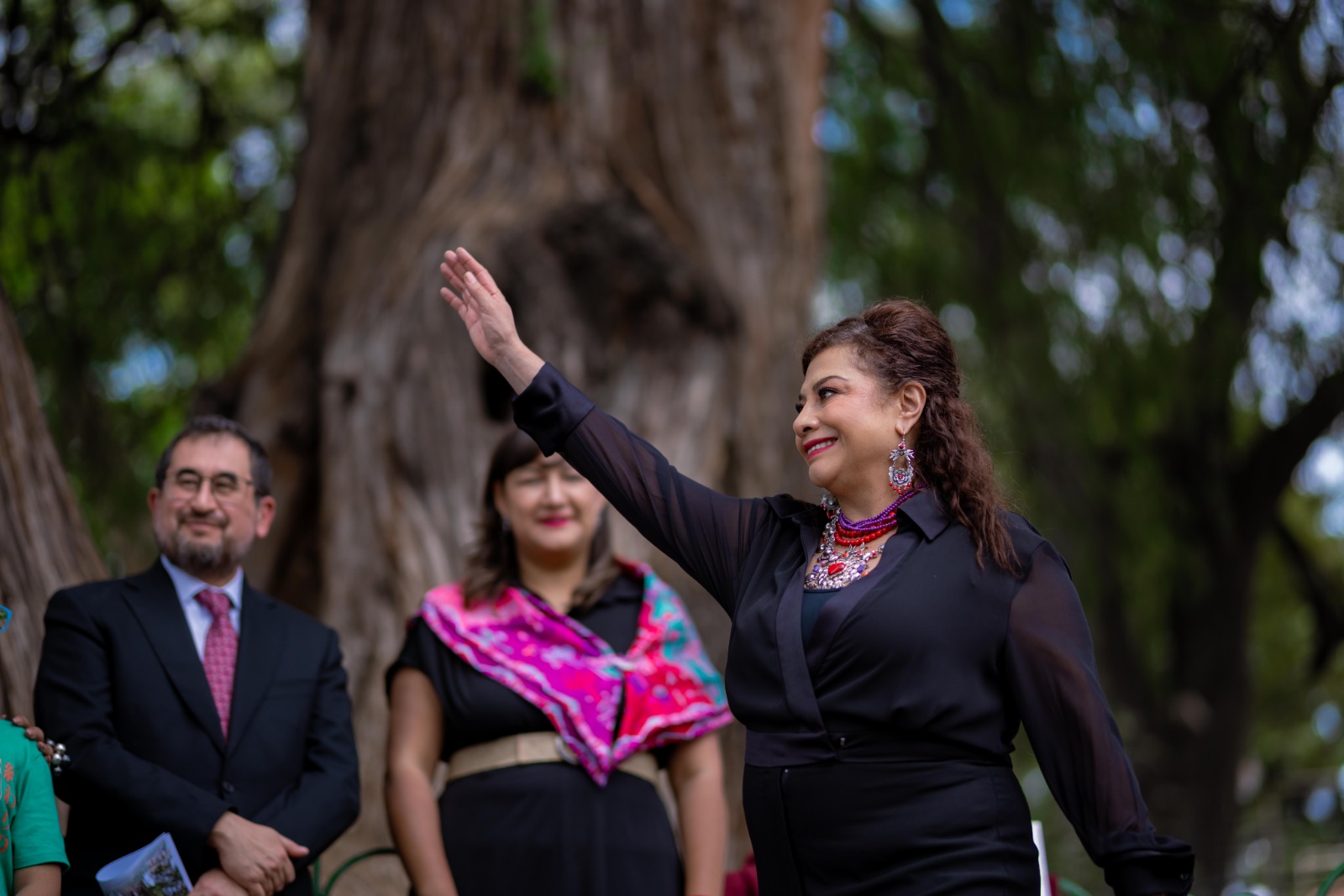 Clara brugada declara patrimonio natural a ahuehuete de 700 años y lanza plan de conservación arbórea la revista del sureste mx Plan 2