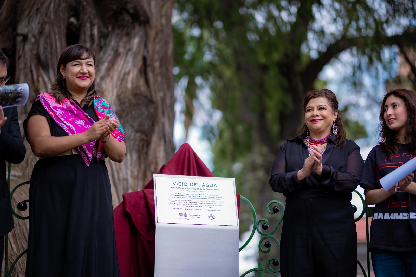 Clara brugada declara patrimonio natural a ahuehuete de 700 años y lanza plan de conservación arbórea la revista del sureste mx Plan 4