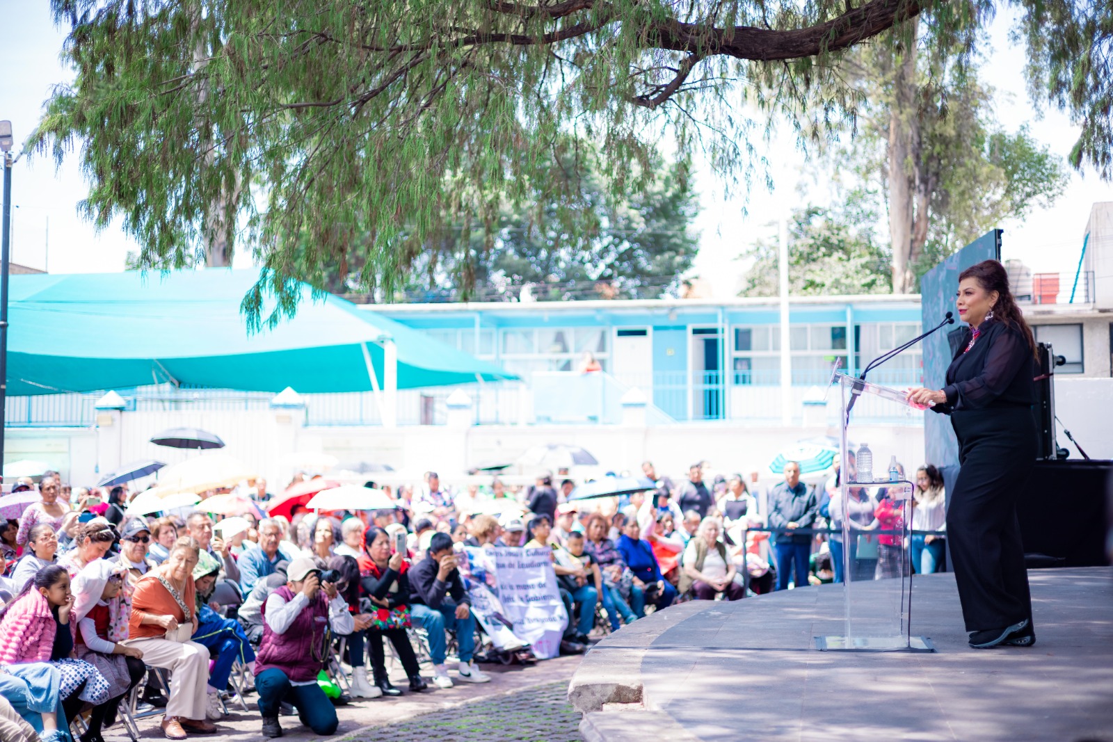 Clara brugada declara patrimonio natural a ahuehuete de 700 años y lanza plan de conservación arbórea la revista del sureste mx Plan 6