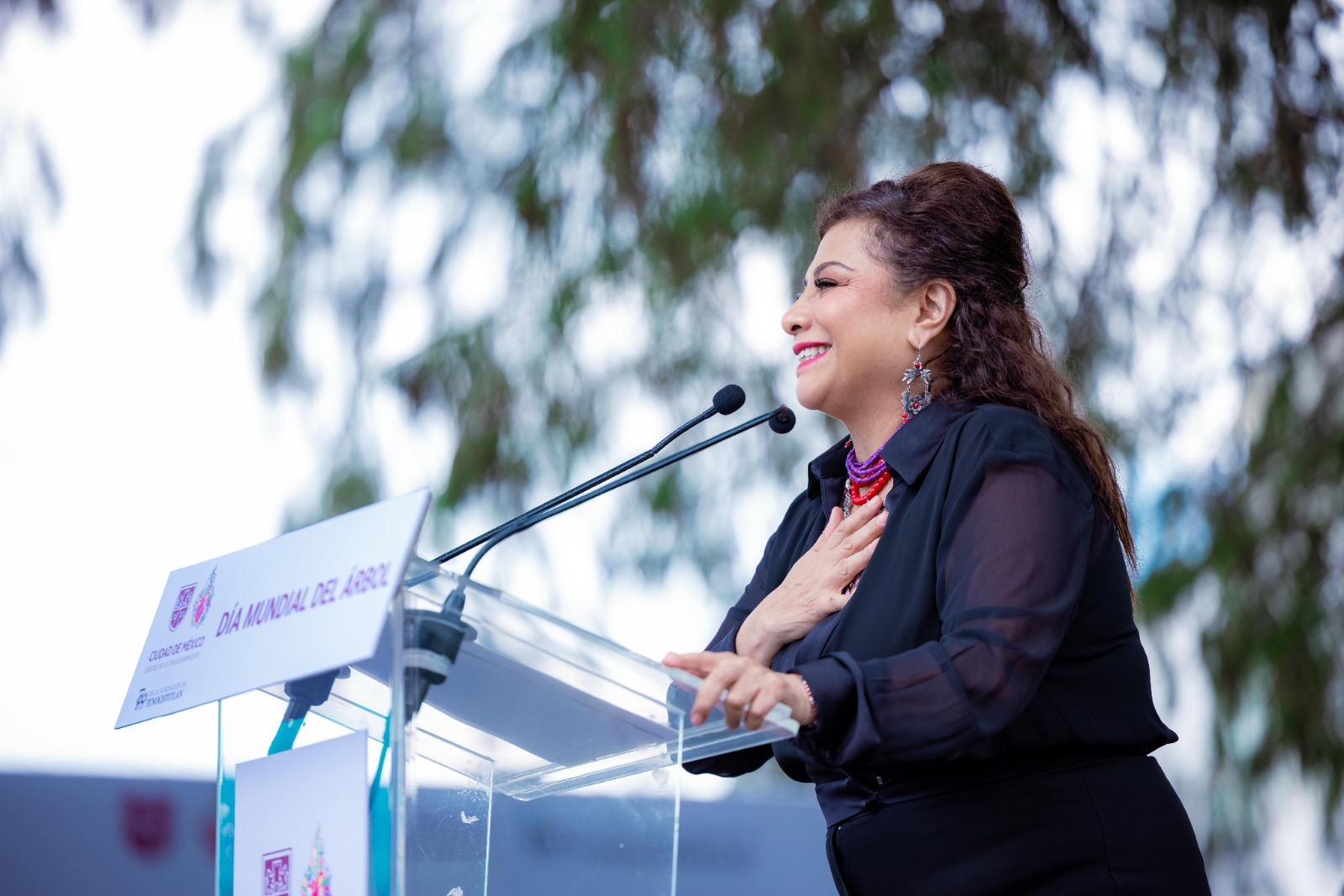 Clara Brugada declara Patrimonio Natural a Ahuehuete de 700 años y lanza plan de conservación arbórea