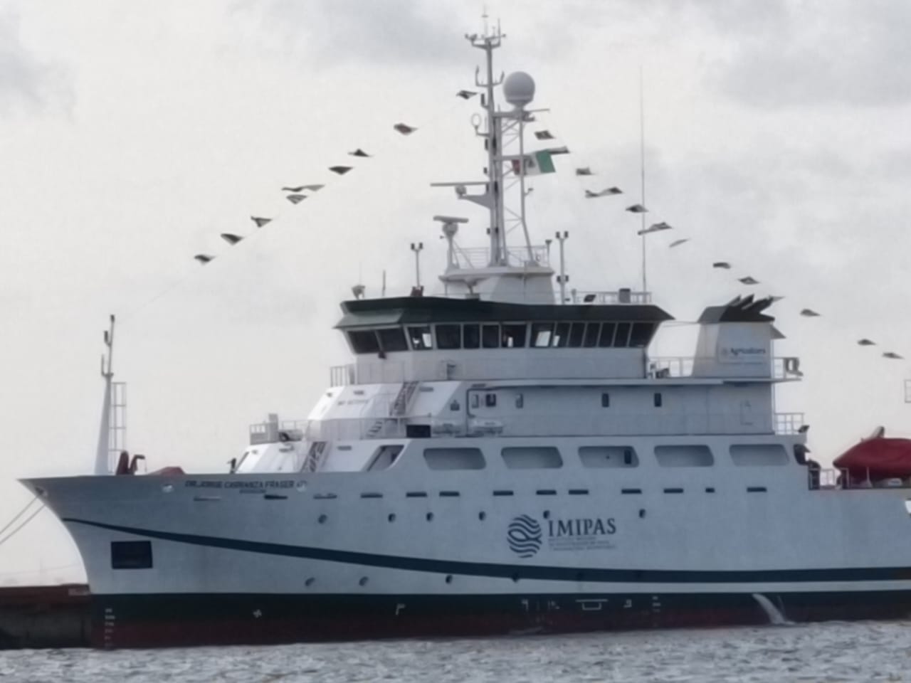 México lanza estudio científico para entender y transformar el sargazo del Caribe