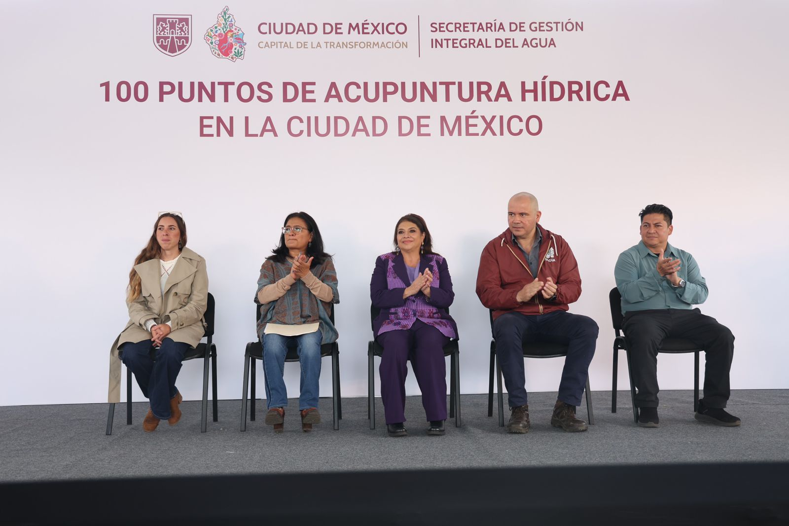 Acupuntura 3