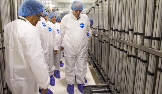 Arranca Agricultura nueva planta de producción de moscas estériles del gusano barrenador