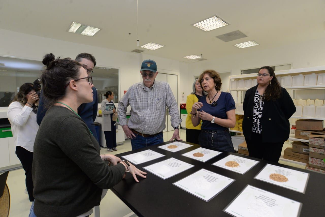 México y cimmyt refuerzan alianza para impulsar sistemas agroalimentarios sostenibles la revista del sureste mx Cim 3