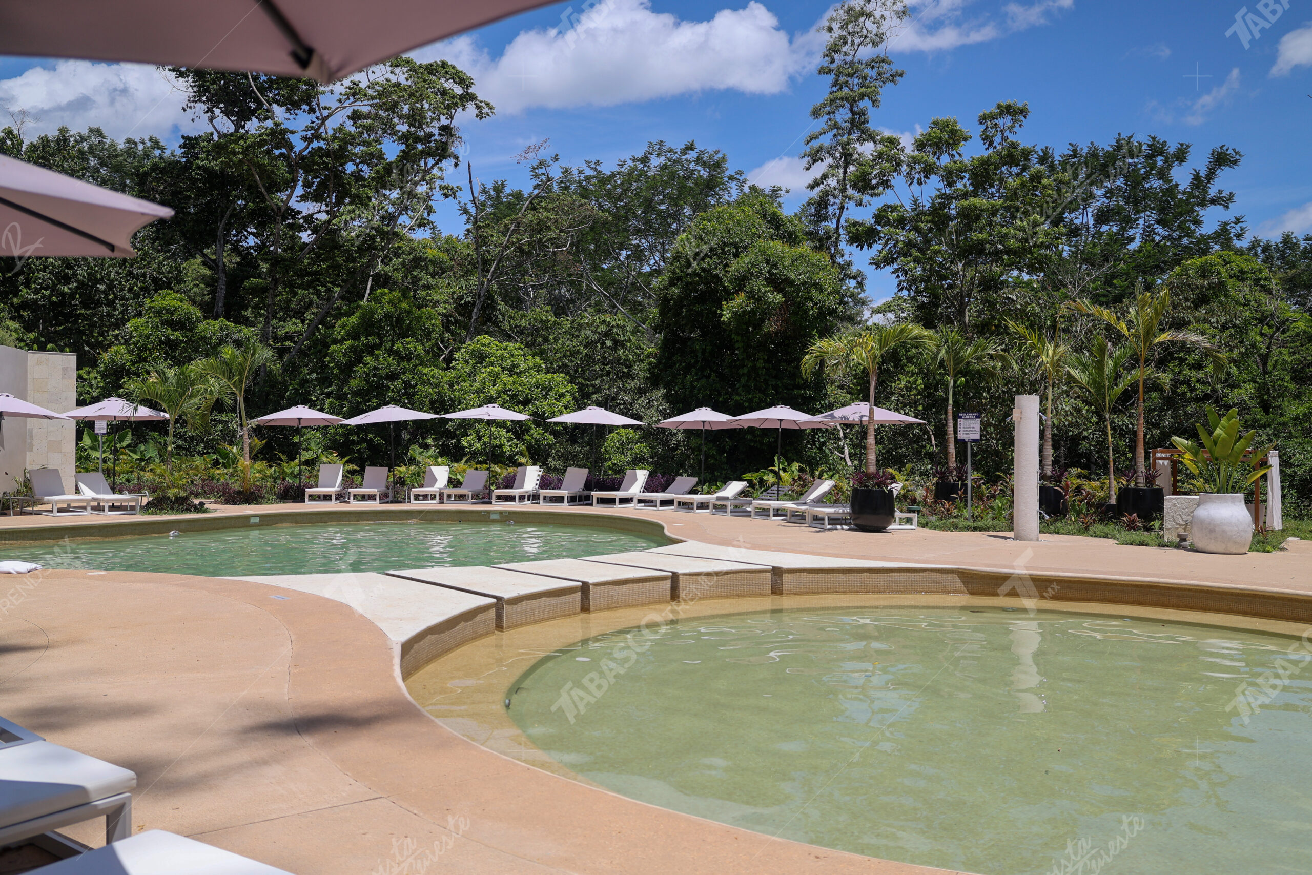 Hotel mundo maya palenque, punto clave del turismo conectado al tren maya la revista del sureste mx Clave 2 Scaled