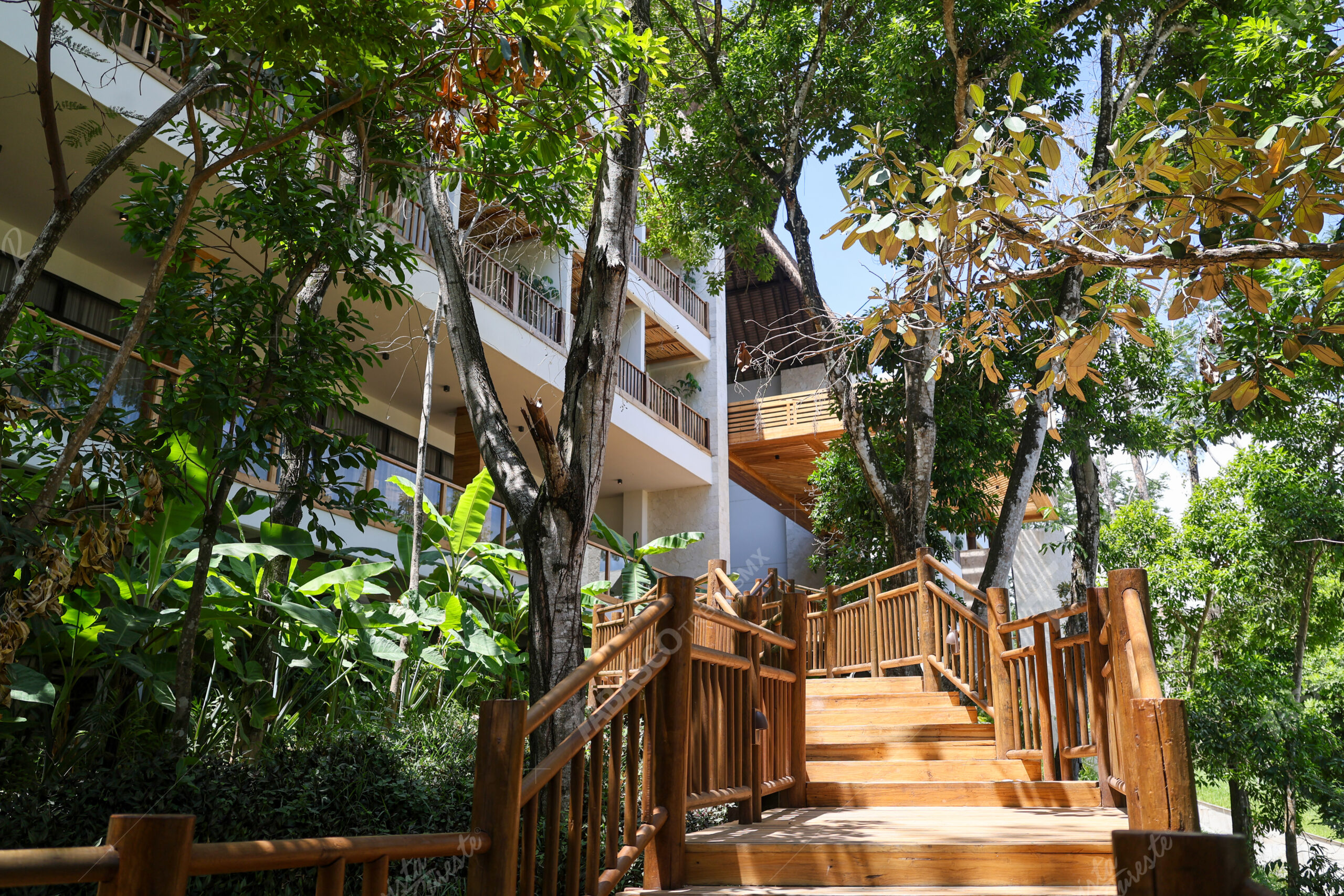 Hotel mundo maya palenque, punto clave del turismo conectado al tren maya la revista del sureste mx Clave 3 Scaled