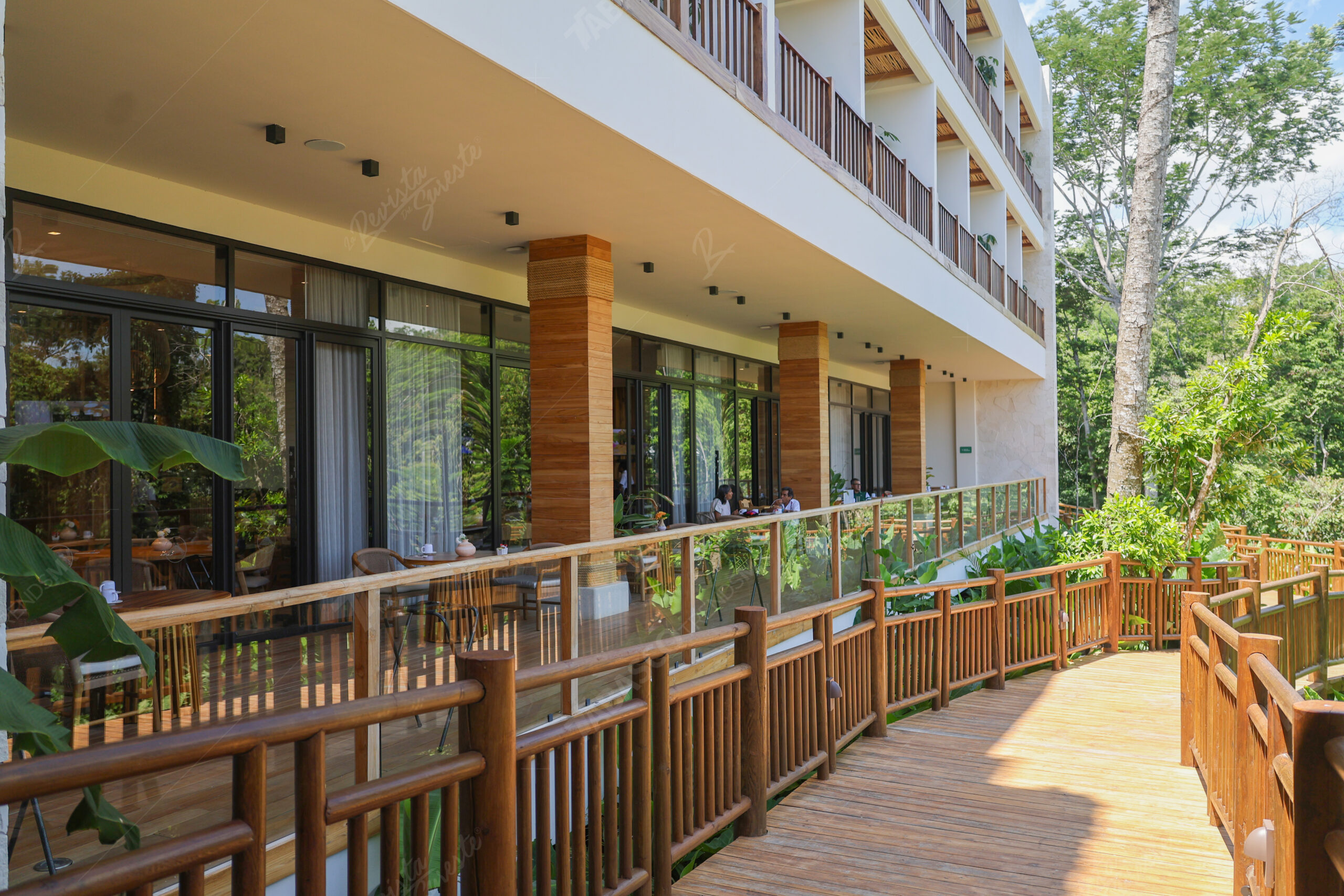 Hotel mundo maya palenque, punto clave del turismo conectado al tren maya la revista del sureste mx Clave 5 Scaled