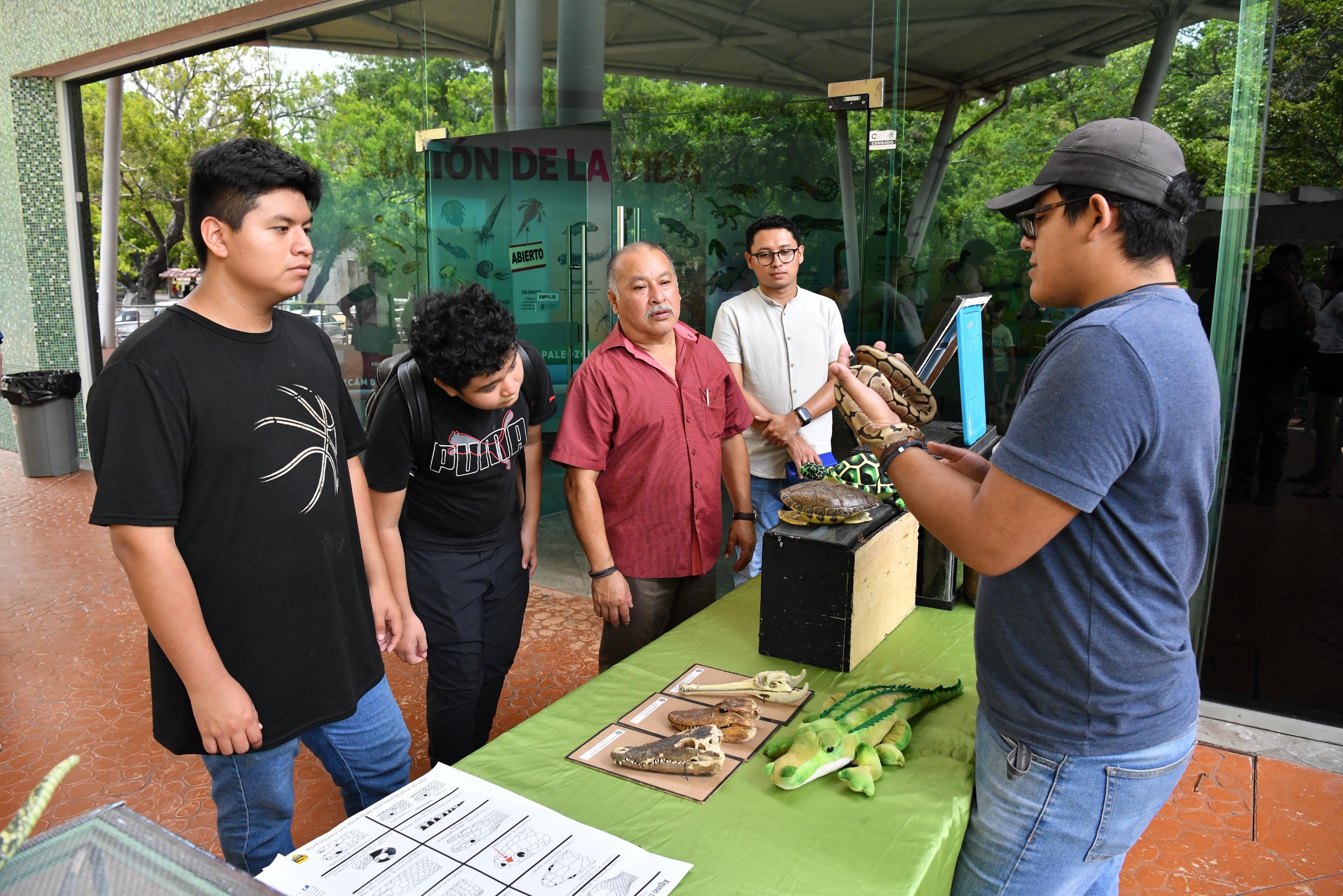 Museo “josé narciso rovirosa” presenta exhibición de reptiles la revista del sureste mx Serpientes 3