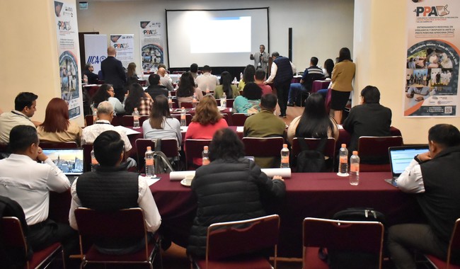 USDA, IICA y Agricultura fortalecen el escudo sanitario contra la peste porcina africana en América