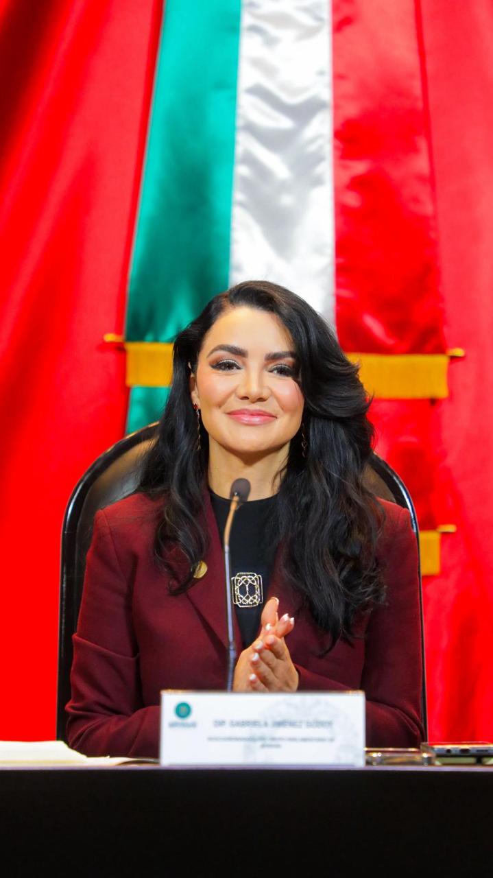 The washington post reconoce a la veracruzana diana guzmán por su impacto en energía y cambio climático la revista del sureste mx Veracruzana 1