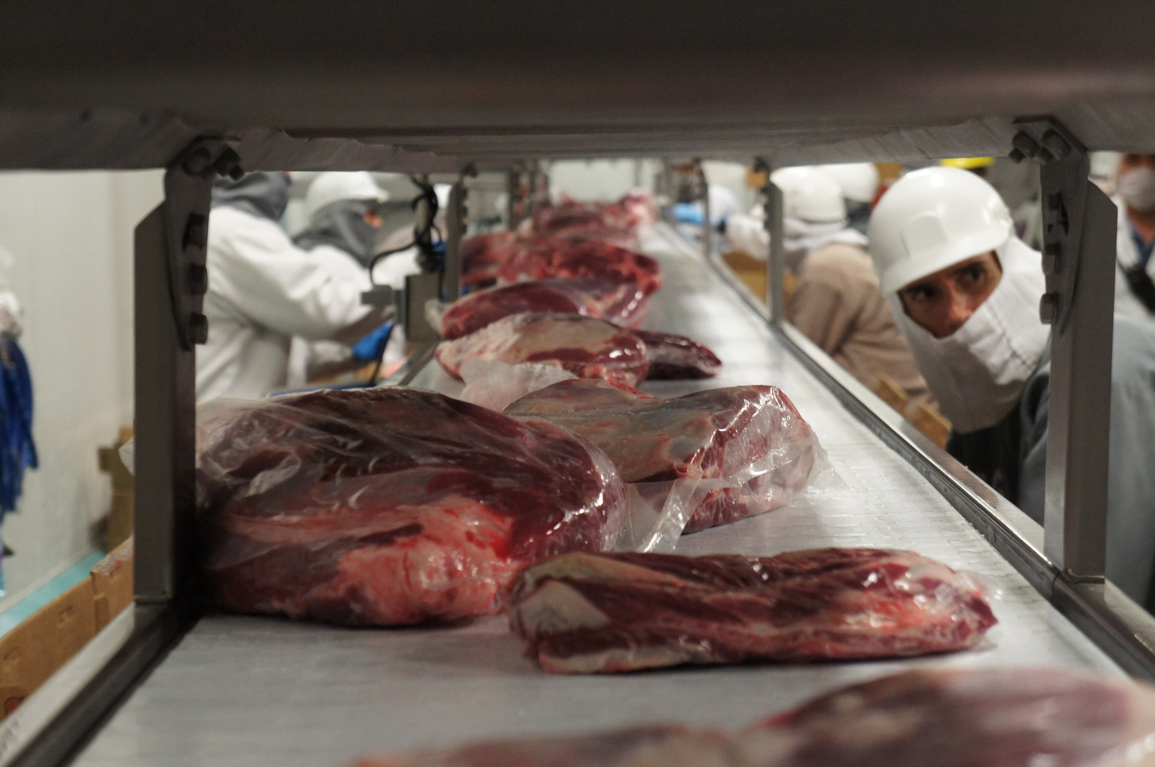 Canadá refrenda equivalencia del sistema tif mexicano para exportación cárnica la revista del sureste mx Carnes 2