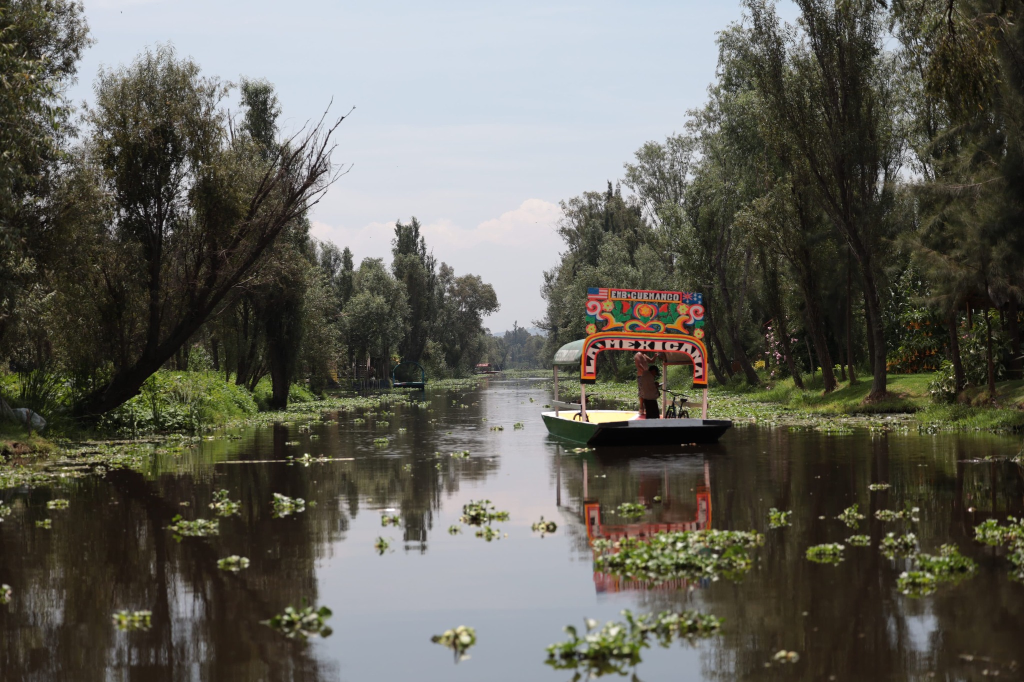 México celebra a sus pueblos originarios: 68 lenguas y miles de años de historia viva la revista del sureste mx Dia 2
