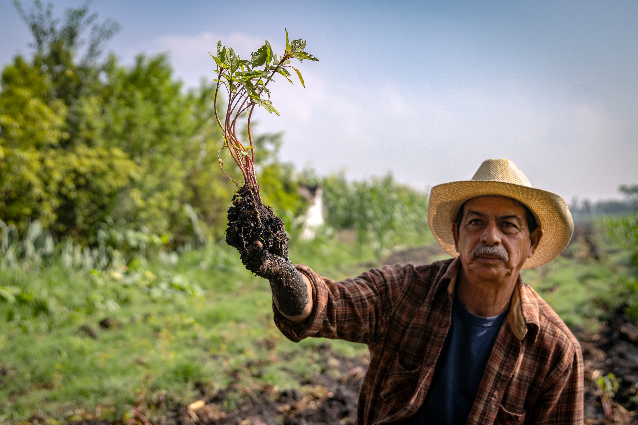 México celebra a sus pueblos originarios: 68 lenguas y miles de años de historia viva la revista del sureste mx Dia 3
