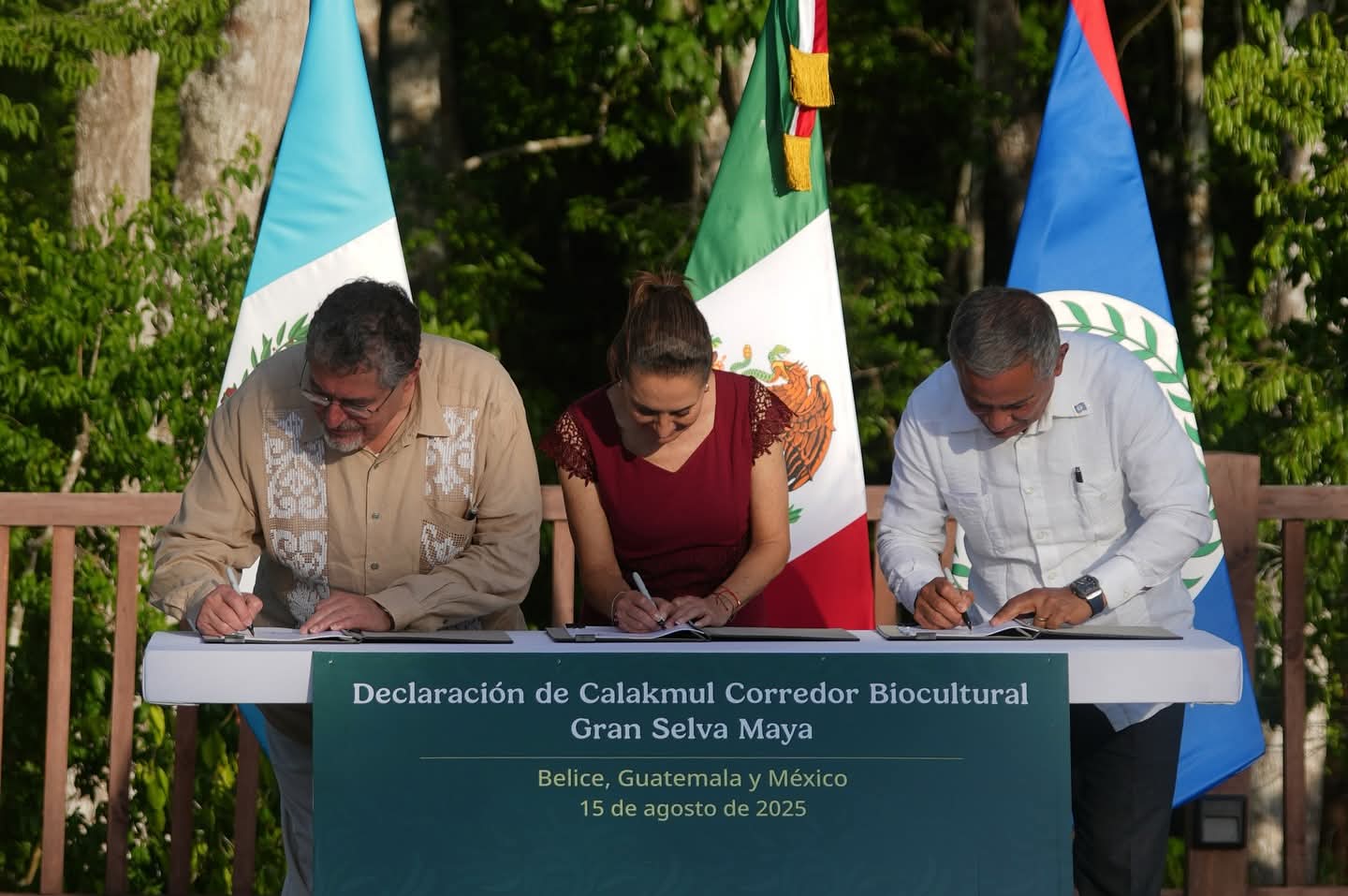 México, guatemala y belice crean el mayor corredor biocultural del mundo: selva maya protegerá 5. 7 millones de hectáreas la revista del sureste mx Mexico 2