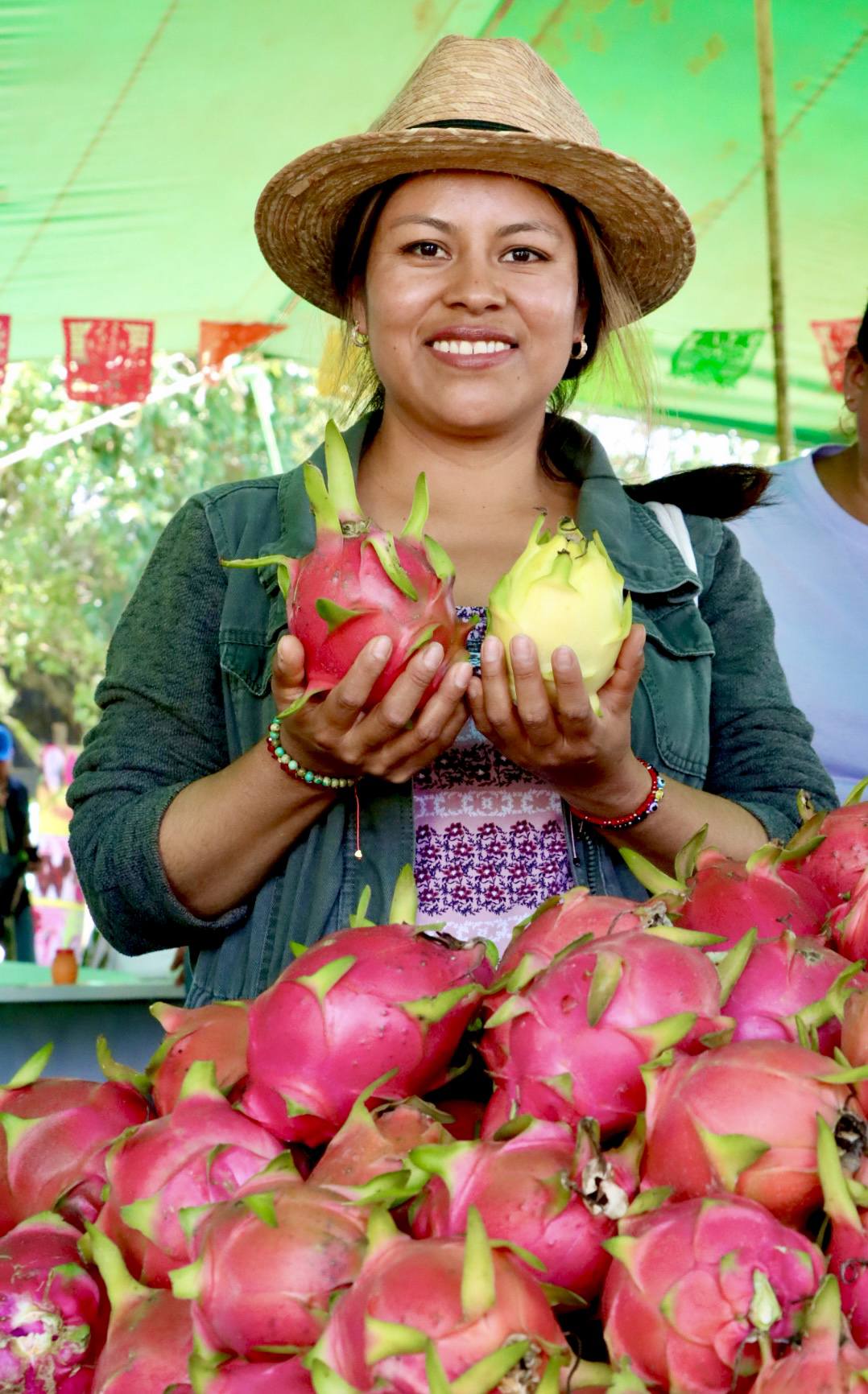 Oaxaca celebra la pitahaya expo agro 2025 y abre nuevos mercados para el fruto dragón la revista del sureste mx Pitahaya 2