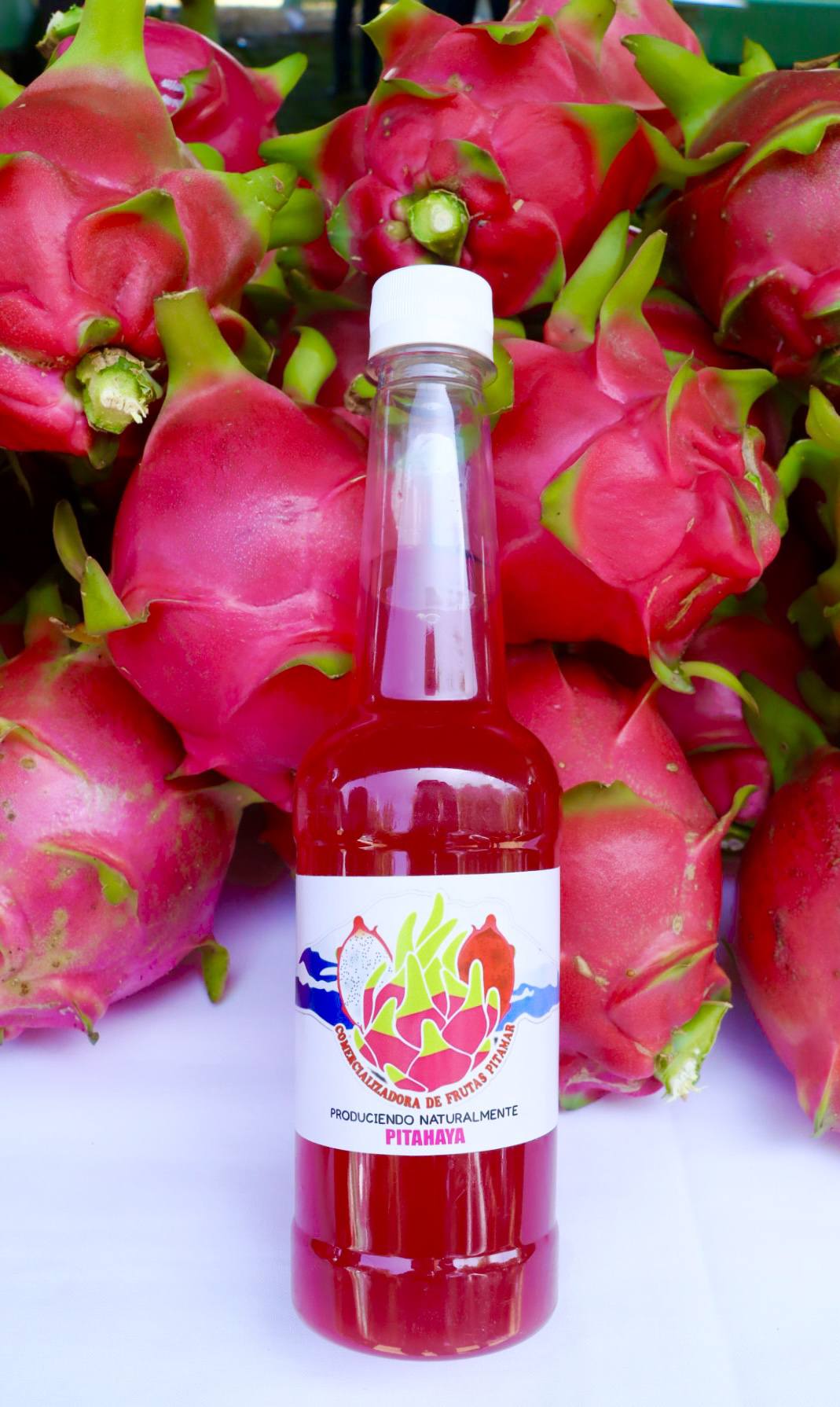 Oaxaca celebra la pitahaya expo agro 2025 y abre nuevos mercados para el fruto dragón la revista del sureste mx Pitahaya 3